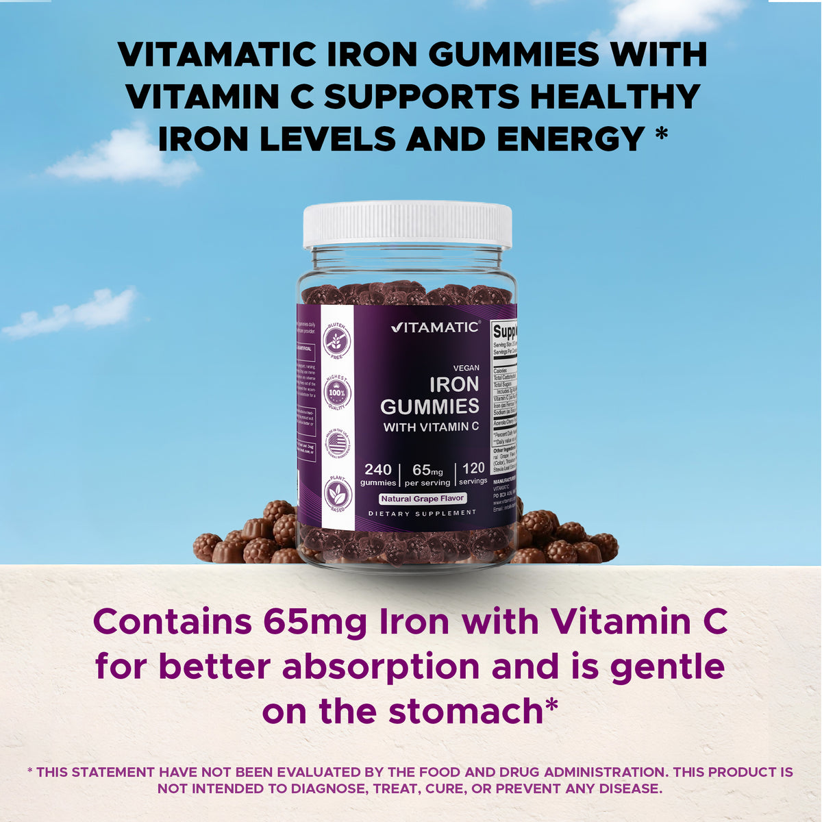 Vitamatic Iron 65mg Per Serving Gummies for Women & Men, 240 Count