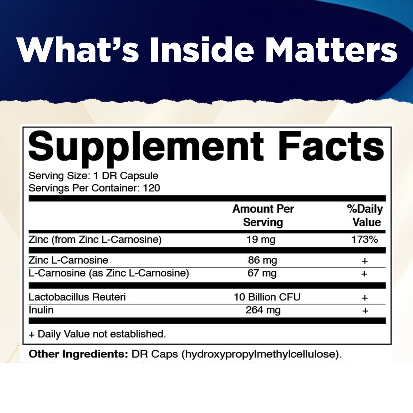 Zinc Carnosine with L. Reuteri 10 Billion CFU & Prebiotic Inulin 264 mg Digestive & Gut Health Support* - 120 Delayed-Release Capsules