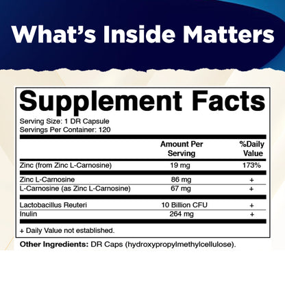 Zinc Carnosine with L. Reuteri 10 Billion CFU & Prebiotic Inulin 264 mg Digestive & Gut Health Support* - 120 Delayed-Release Capsules