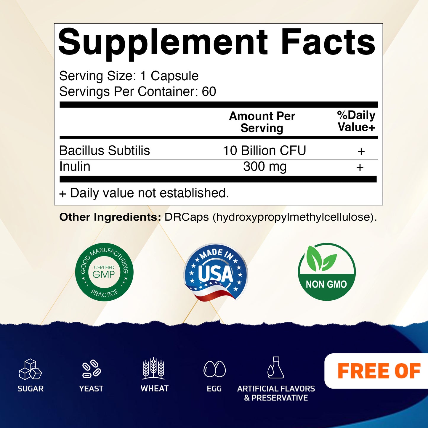 Bacillus Subtilis 10 Billion CFU DR Capsule 60 Capsules