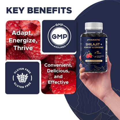 Shilajit + KSM-66® Ashwagandha & Ginseng, 60ct Gummies