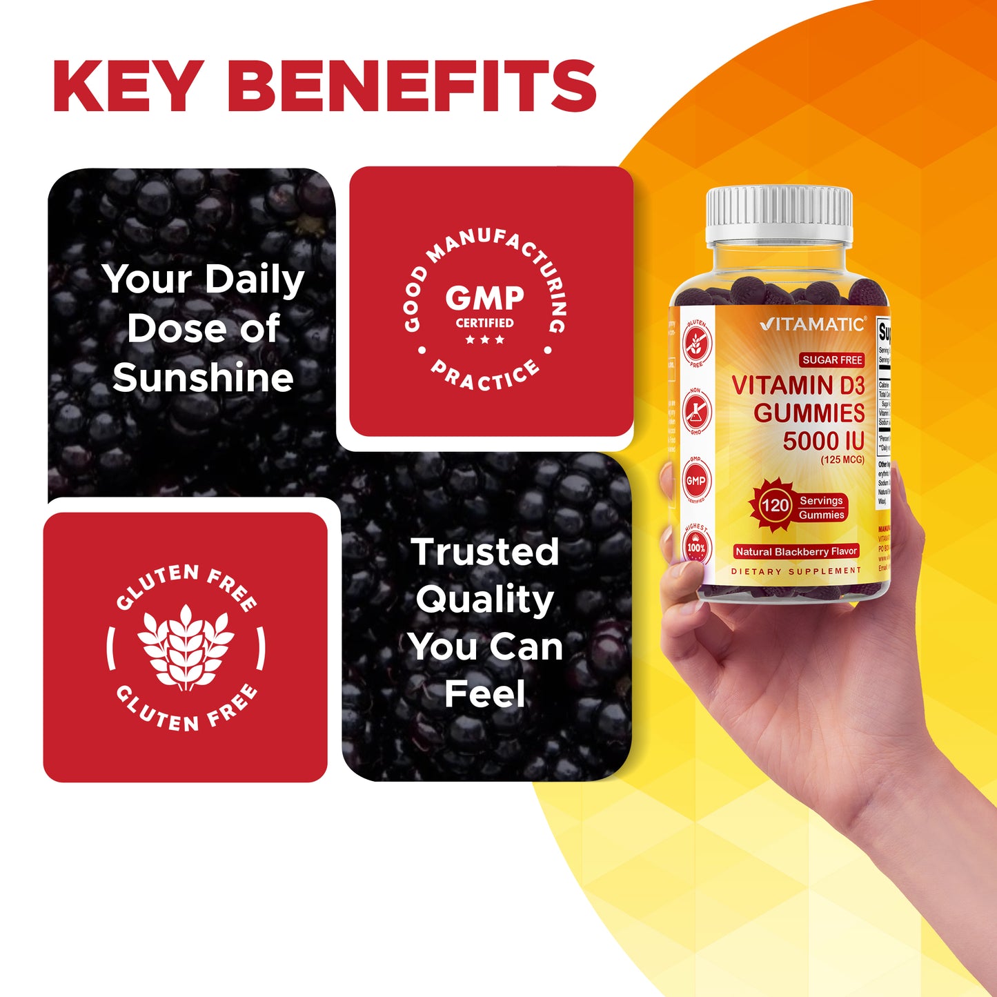 Sugar Free Vitamin D3 5000 IU - 120 Gummies