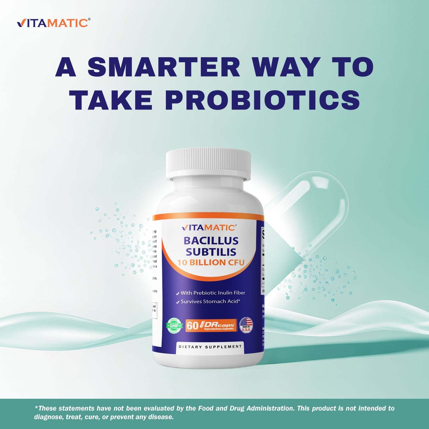 Bacillus Subtilis 10 Billion CFU DR Capsule 60 Capsules