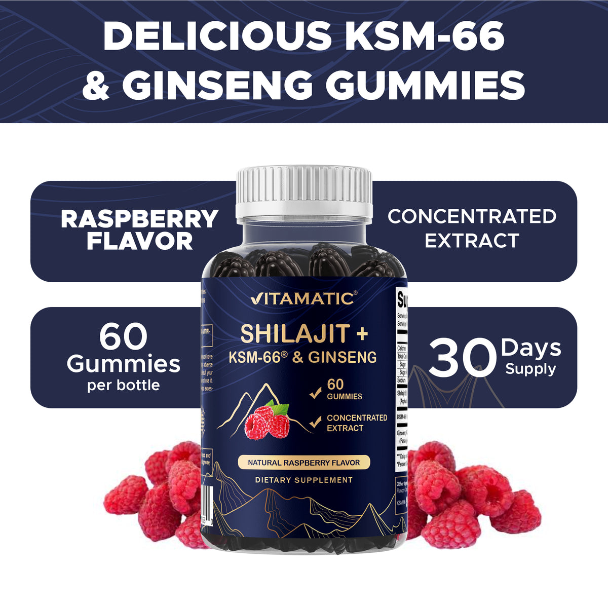 Shilajit + KSM-66® Ashwagandha & Ginseng, 60ct Gummies