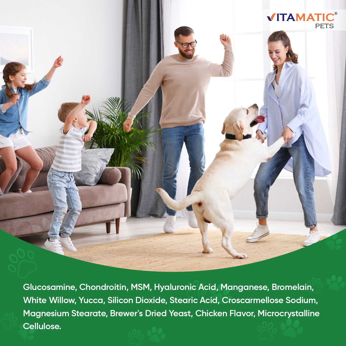 Maximum Strength Joint & Hip Health Supplement for Dogs 120 Chicken Flavored Tablets