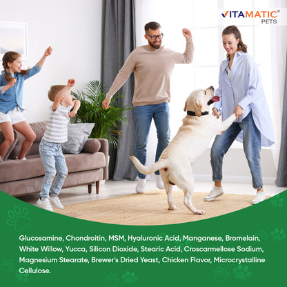 Maximum Strength Joint & Hip Health Supplement for Dogs 120 Chicken Flavored Tablets