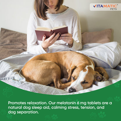 Melatonin for Dogs 6 mg -  120 Beef Flavored Chewable Tablets