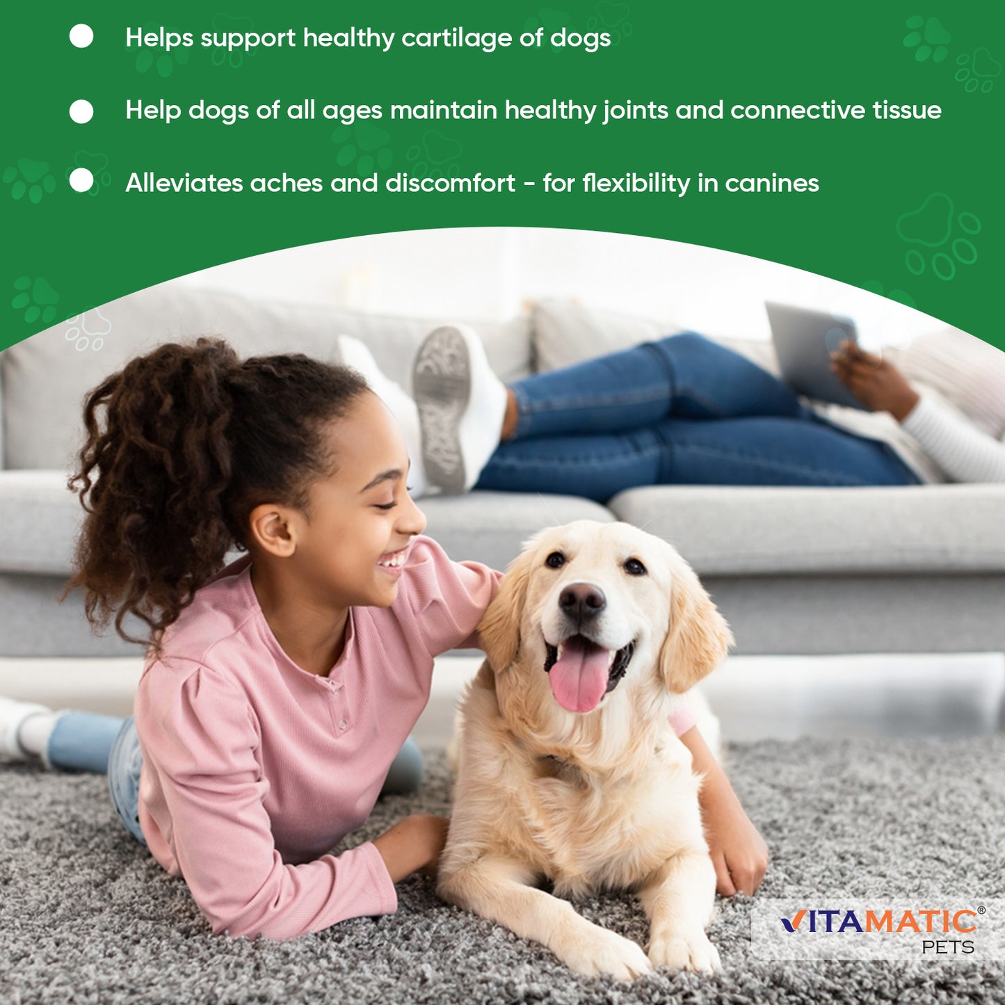 Maximum Strength Joint & Hip Health Supplement for Dogs 120 Chicken Flavored Tablets