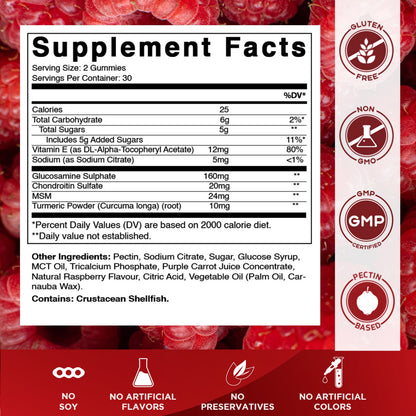 Glucosamine Chondroitin MSM & Vitamin E 60 Gummies
