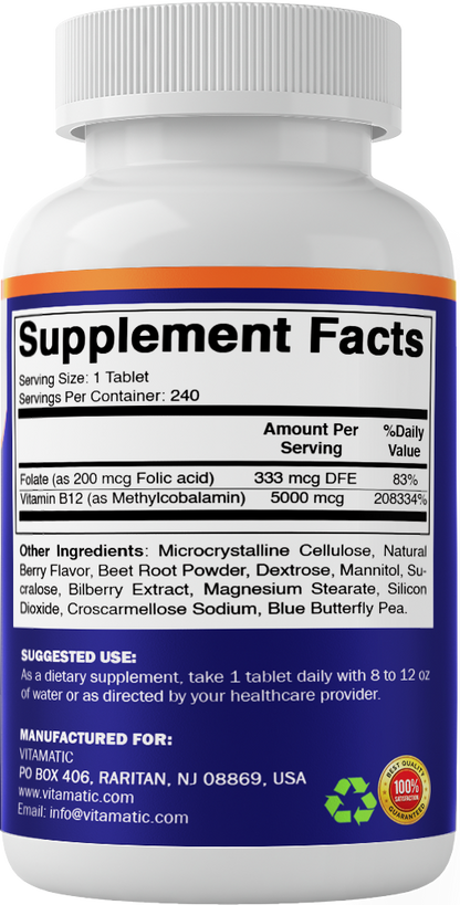 Methyl B12 5000 mcg Fast Dissolve, 240 Tablets