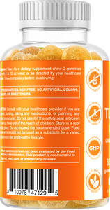 Turmeric Ginger with Black Pepper 60 Vegan Gummies