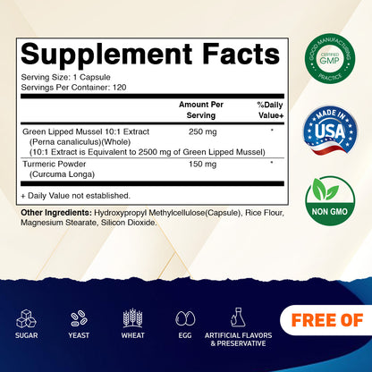 Green Lipped Mussel 2500 mg Equivalent with Turmeric - 120 Veg Capsules