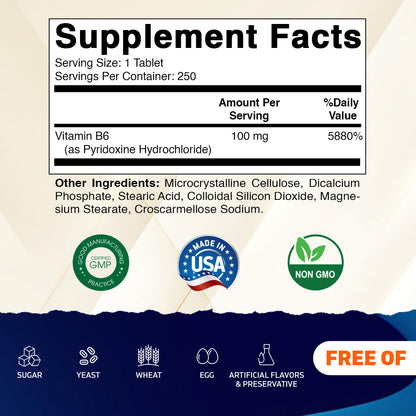 Vitamin B6 100 mg - 250 Tablets