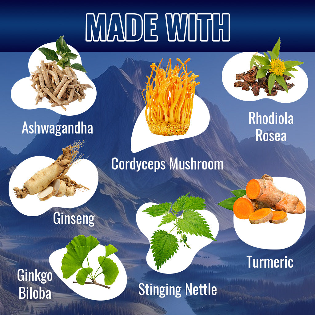 Shilajit Complex Capsules, 9000mg Equivalent, with Ashwagandha, Rhodiola, Ginseng, Cordyceps, Ginkgo, Nettle, Turmeric - 120 Veggie Capsules