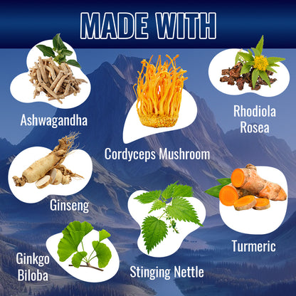 Shilajit Complex Capsules, 9000mg Equivalent, with Ashwagandha, Rhodiola, Ginseng, Cordyceps, Ginkgo, Nettle, Turmeric - 120 Veggie Capsules