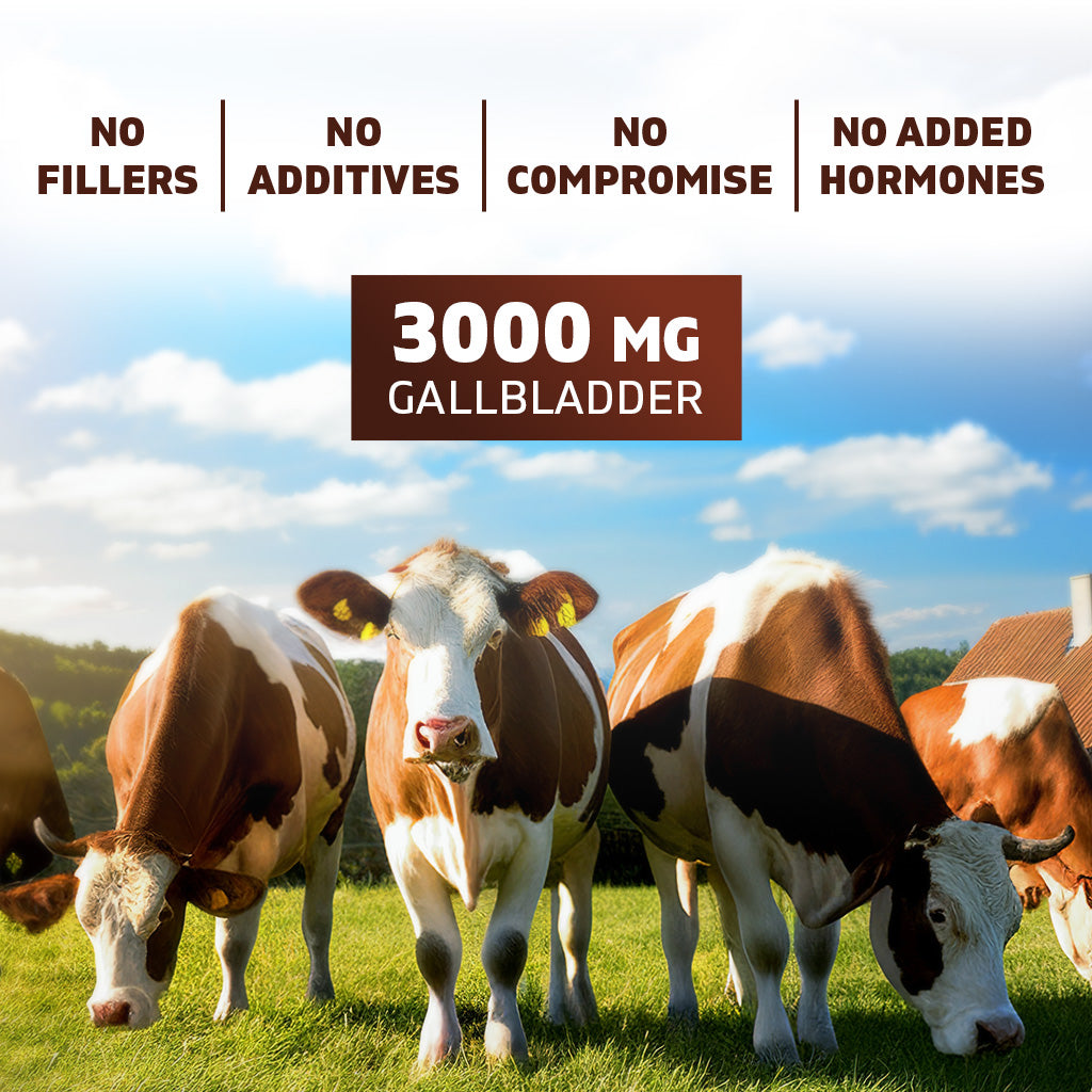 Vitamatic Grass-Fed Beef Gallblader with Bile & Liver 180 Capsules