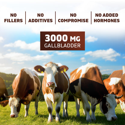 Vitamatic Grass-Fed Beef Gallblader with Bile & Liver 180 Capsules