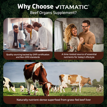 Vitamatic Grass Fed Beef Brain with Liver - 180 Capsules